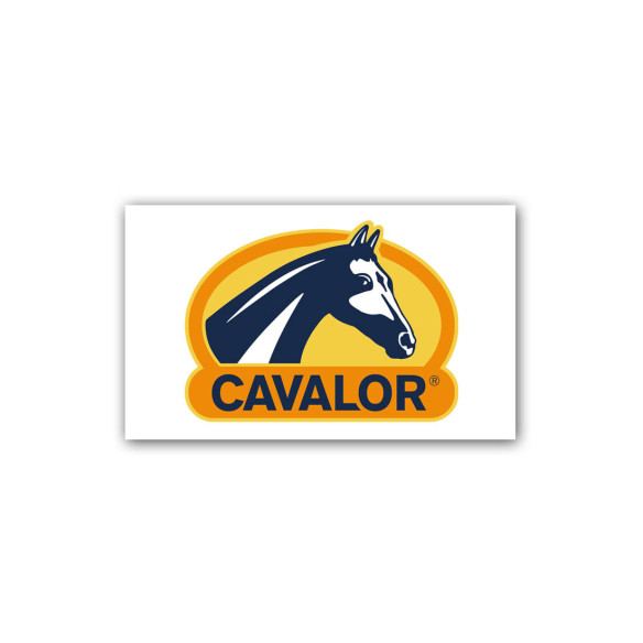 Cavalor ArtiTec - pomoć zglobovima i tetivama trkačkih konja - 2l Dodaci ishrani za konje Cavalor petwebshop.com