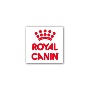 Royal Canin Medium Adult - vlažna hrana za odrasle pse od 12 meseci do 10 godine, težine odraslih između 11kg i 25 kg - 10x140g  2
