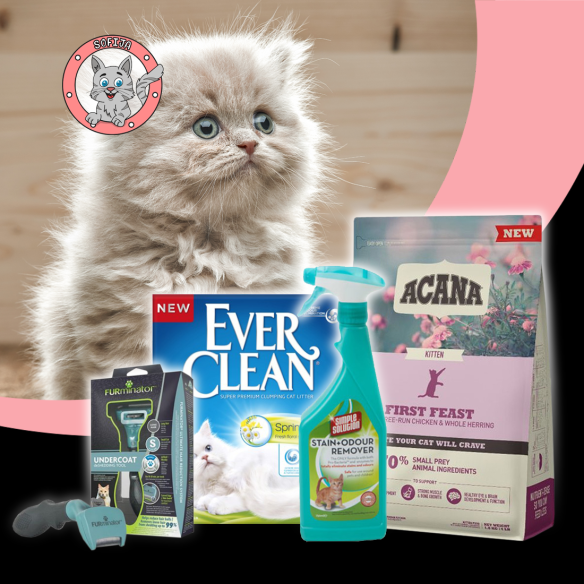 Acana start paket za mačiće Super premium Acana petwebshop.com